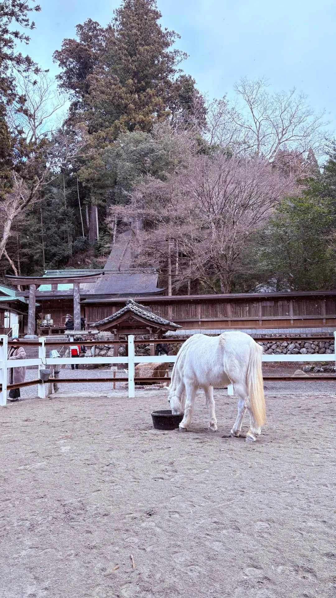 新年のごあいさつ